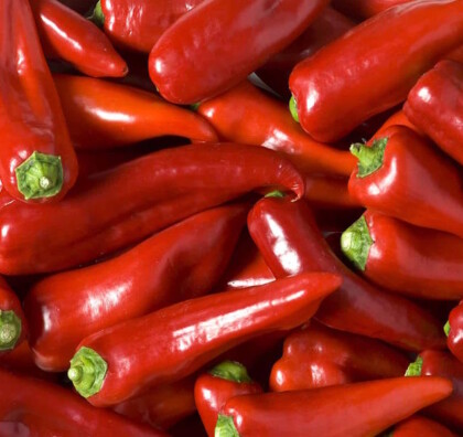 Paprika